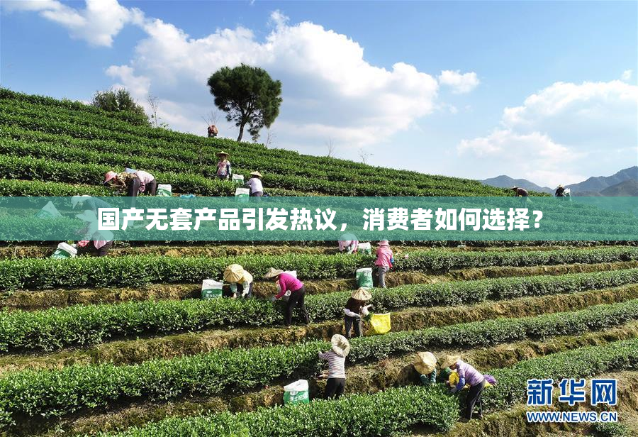 国产无套产品引发热议，消费者如何选择？