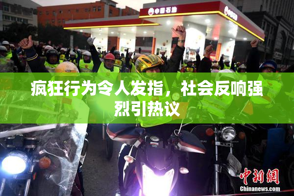 疯狂行为令人发指，社会反响强烈引热议