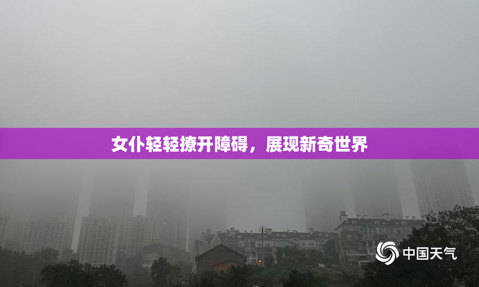 女仆轻轻撩开障碍，展现新奇世界