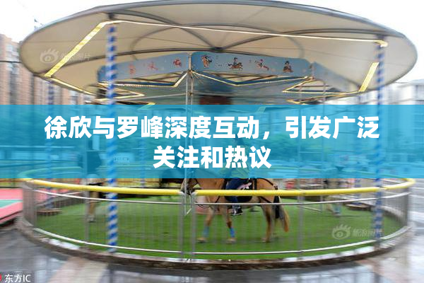 徐欣与罗峰深度互动，引发广泛关注和热议