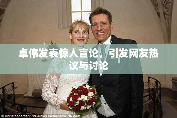 卓伟发表惊人言论，引发网友热议与讨论