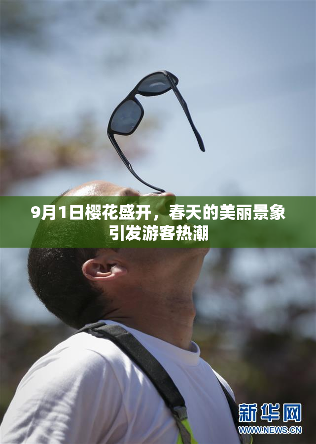 9月1日樱花盛开，春天的美丽景象引发游客热潮