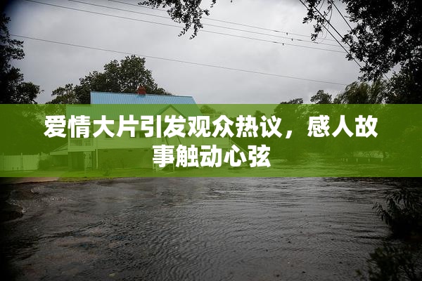 爱情大片引发观众热议，感人故事触动心弦