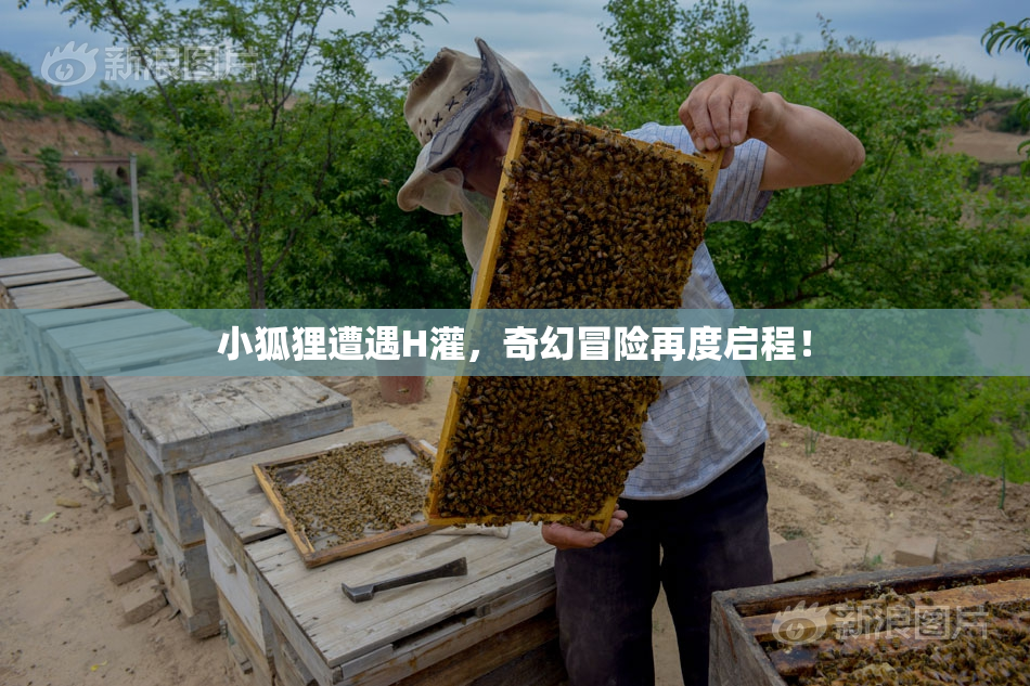 小狐狸遭遇H灌，奇幻冒险再度启程！