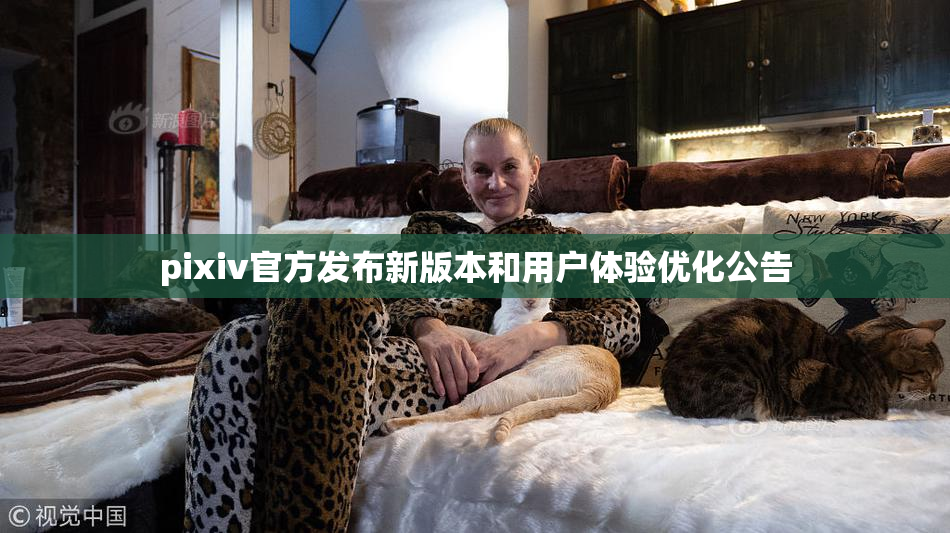 pixiv官方发布新版本和用户体验优化公告