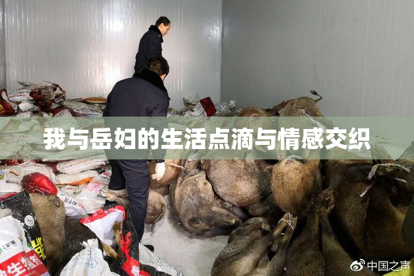 我与岳妇的生活点滴与情感交织