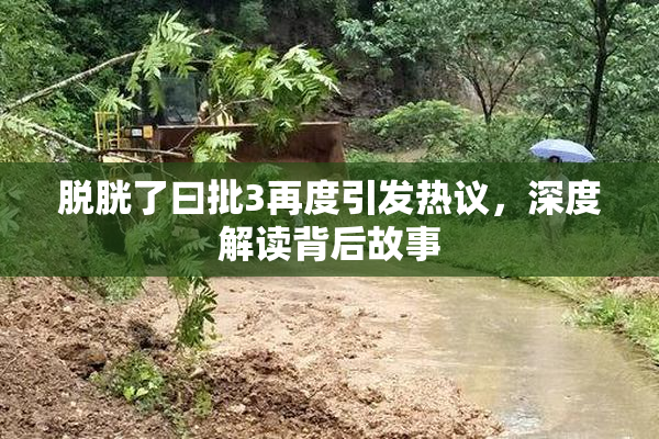 脱胱了曰批3再度引发热议，深度解读背后故事