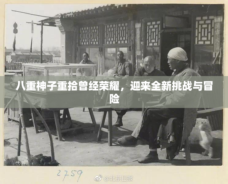 八重神子重拾曾经荣耀，迎来全新挑战与冒险