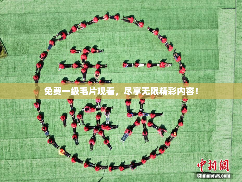 免费一级毛片观看，尽享无限精彩内容！