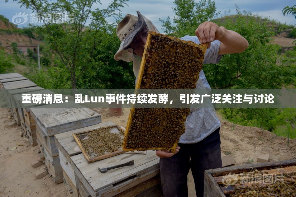 重磅消息：乱Lun事件持续发酵，引发广泛关注与讨论