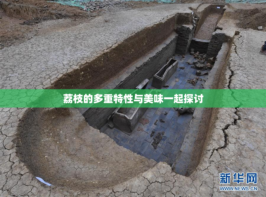 荔枝的多重特性与美味一起探讨