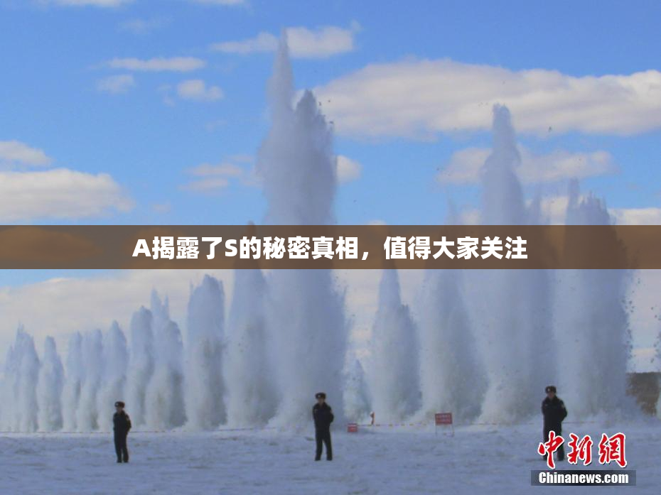 A揭露了S的秘密真相，值得大家关注
