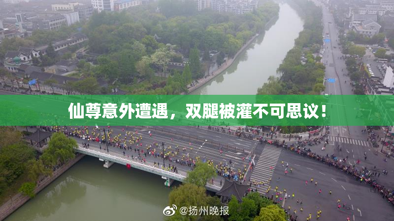 仙尊意外遭遇，双腿被灌不可思议！