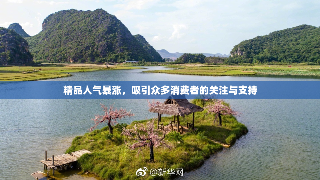 精品人气暴涨，吸引众多消费者的关注与支持