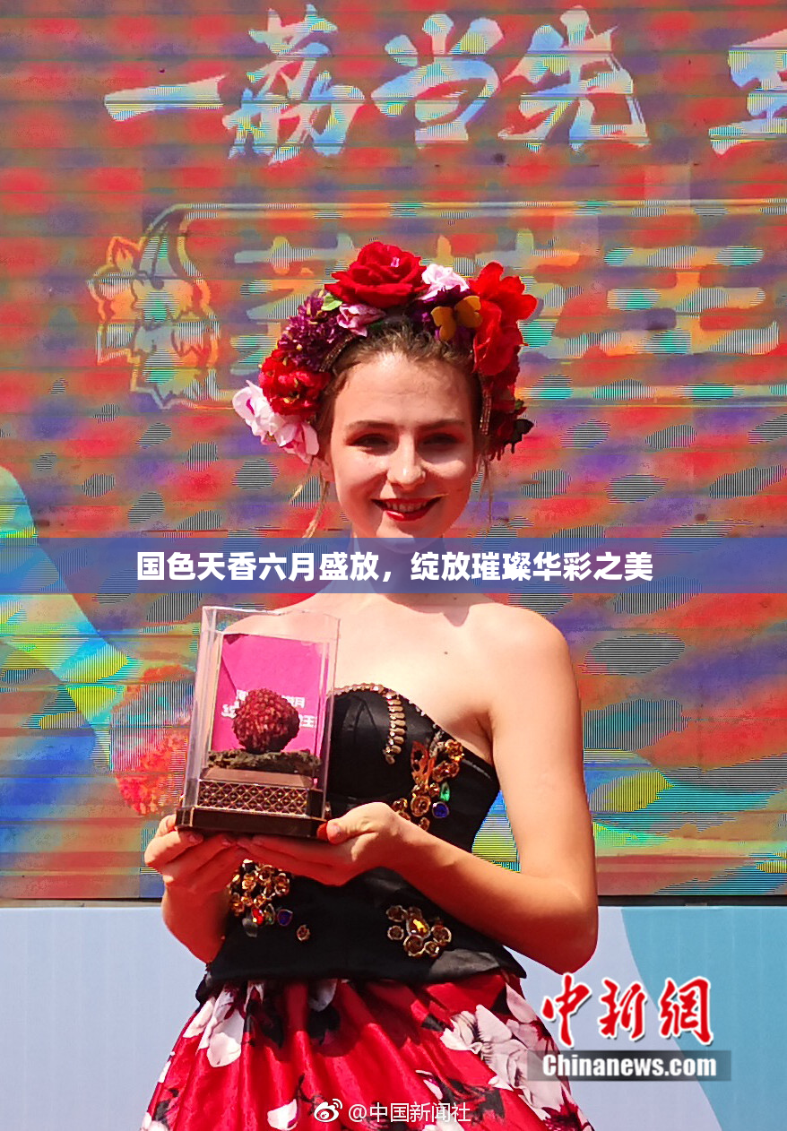 国色天香六月盛放，绽放璀璨华彩之美