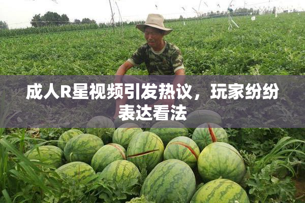 成人R星视频引发热议，玩家纷纷表达看法