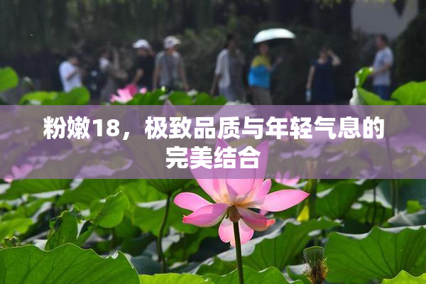粉嫩18，极致品质与年轻气息的完美结合