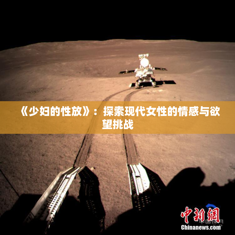 《少妇的性放》：探索现代女性的情感与欲望挑战