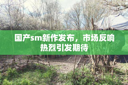 国产sm新作发布，市场反响热烈引发期待