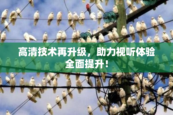 高清技术再升级，助力视听体验全面提升！