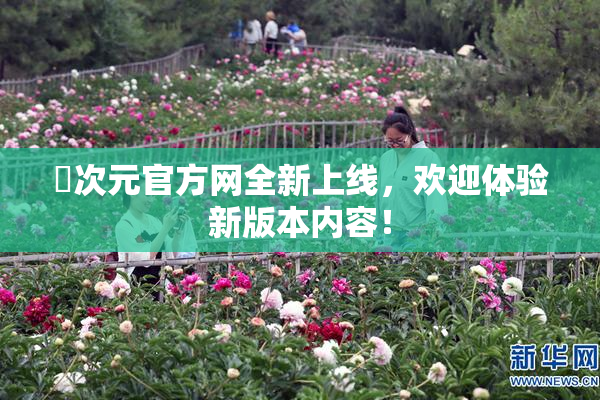 囧次元官方网全新上线，欢迎体验新版本内容！