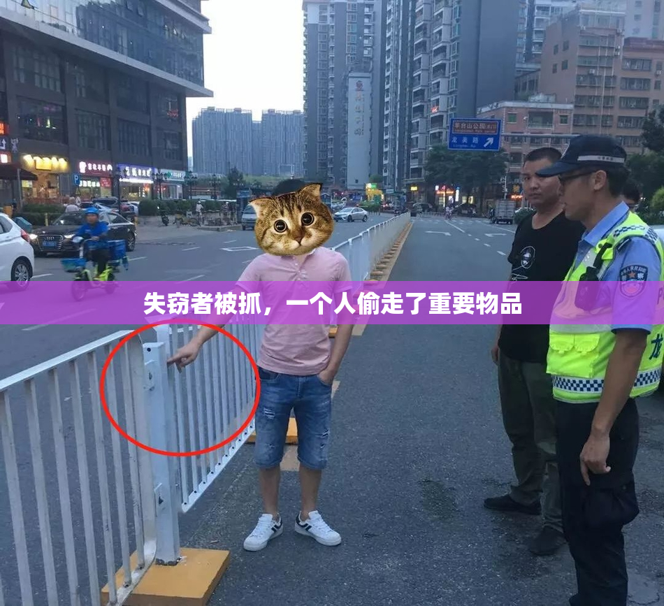 失窃者被抓，一个人偷走了重要物品