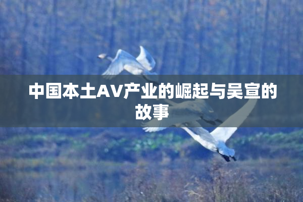 中国本土AV产业的崛起与吴宣的故事