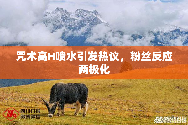 咒术高H喷水引发热议，粉丝反应两极化