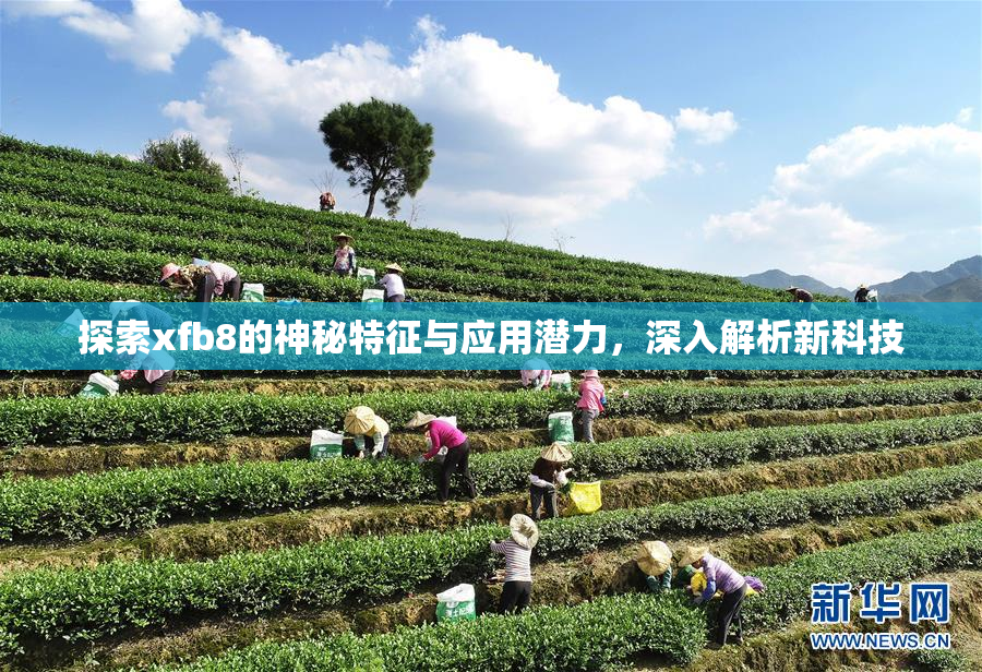 探索xfb8的神秘特征与应用潜力，深入解析新科技