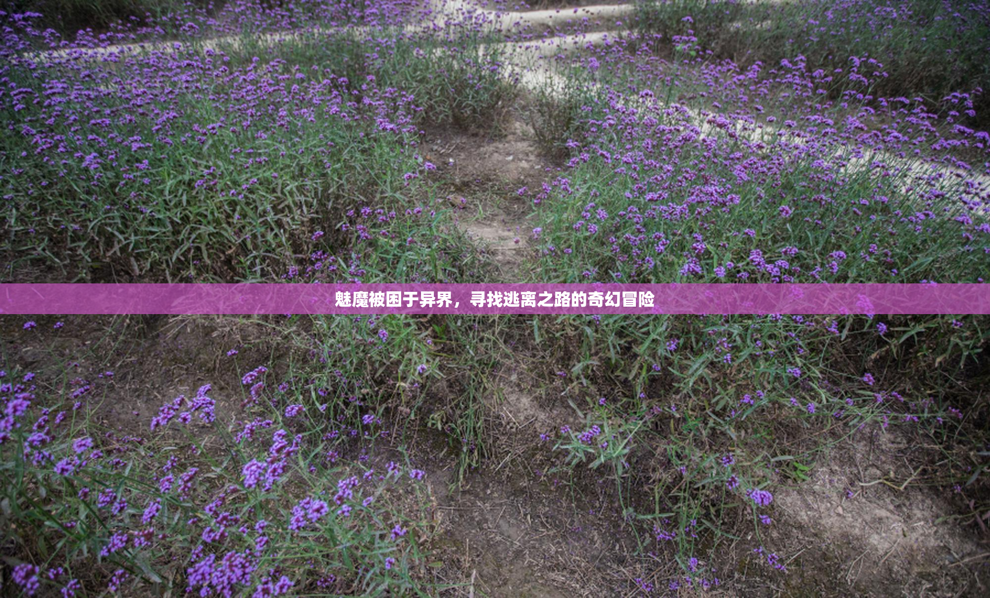 魅魔被困于异界，寻找逃离之路的奇幻冒险