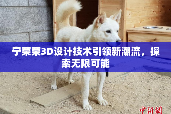 宁荣荣3D设计技术引领新潮流，探索无限可能
