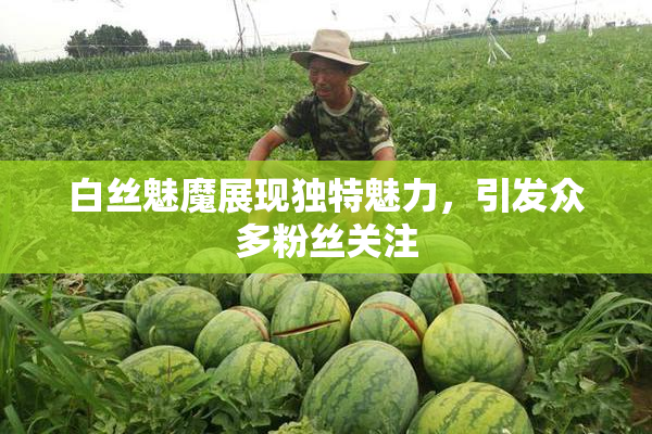 白丝魅魔展现独特魅力，引发众多粉丝关注
