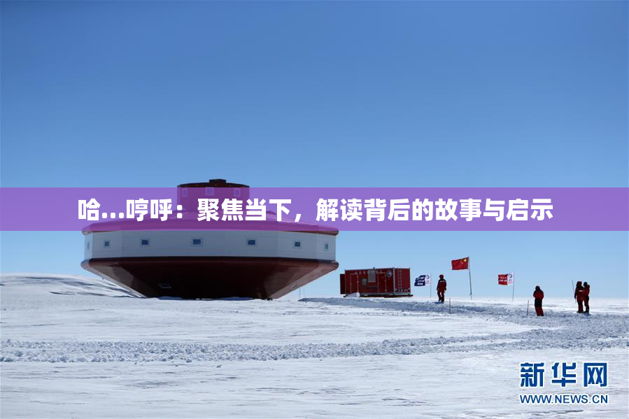 哈…哼呼：聚焦当下，解读背后的故事与启示