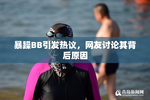 暴躁BB引发热议，网友讨论其背后原因