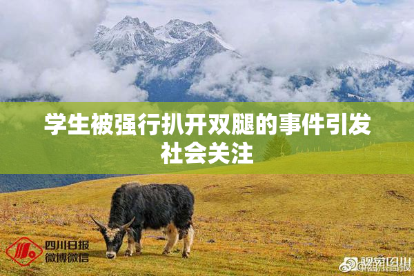 学生被强行扒开双腿的事件引发社会关注