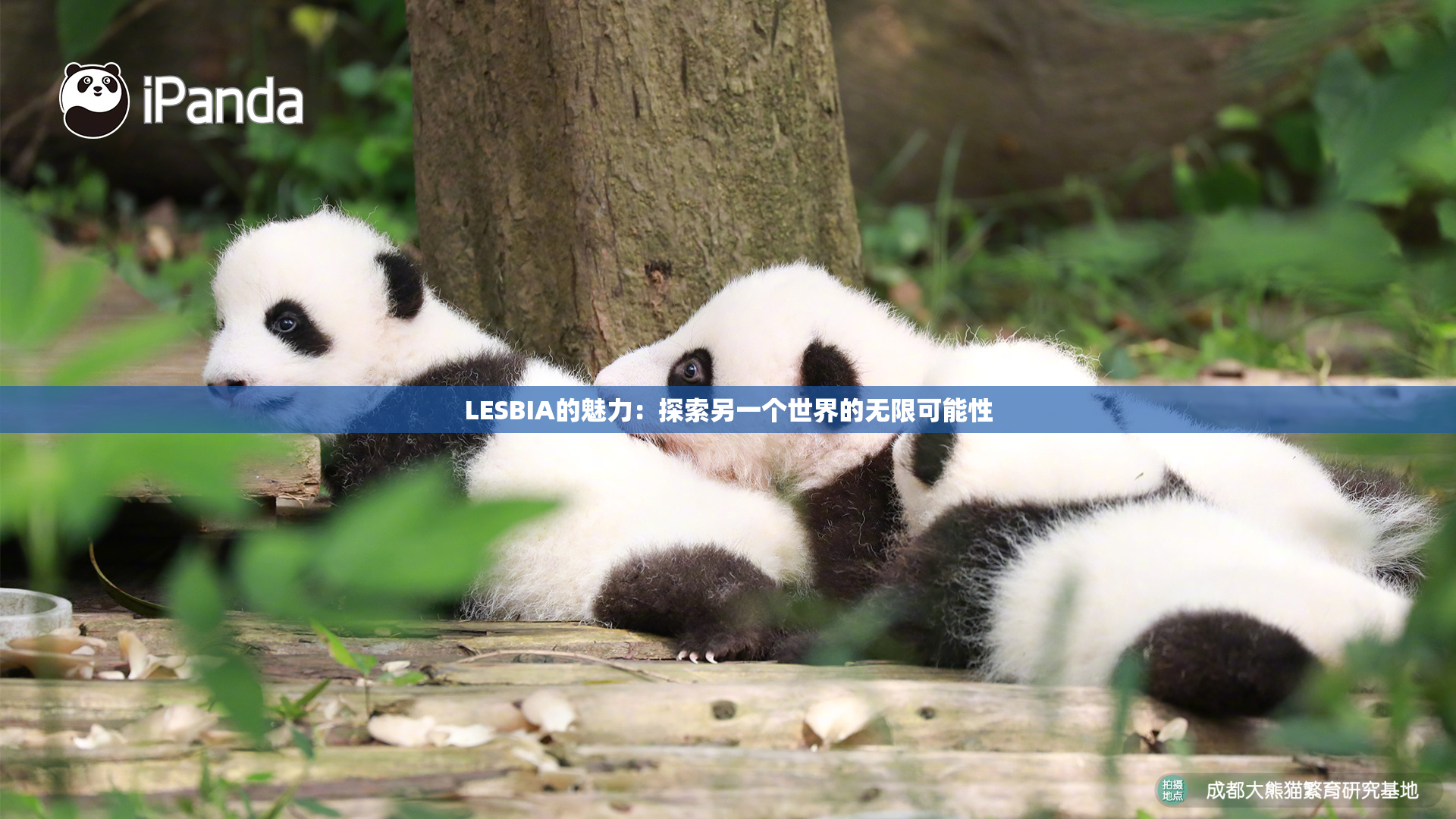 LESBIA的魅力：探索另一个世界的无限可能性
