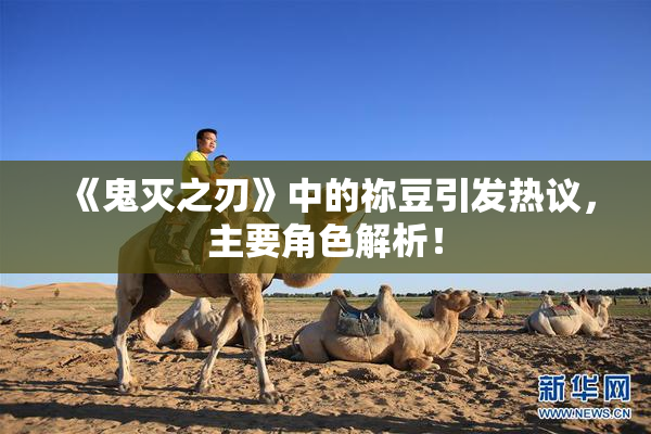 《鬼灭之刃》中的祢豆引发热议，主要角色解析！