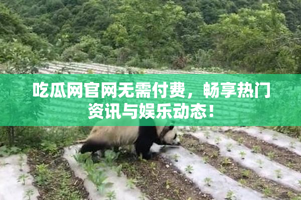 吃瓜网官网无需付费，畅享热门资讯与娱乐动态！