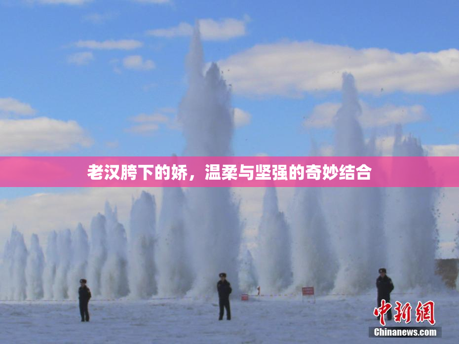 老汉胯下的娇，温柔与坚强的奇妙结合