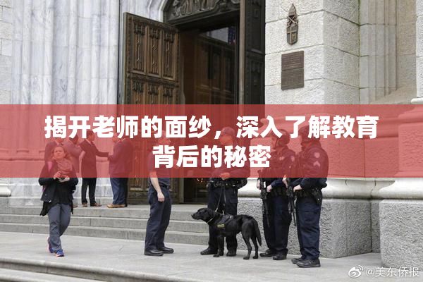 揭开老师的面纱，深入了解教育背后的秘密