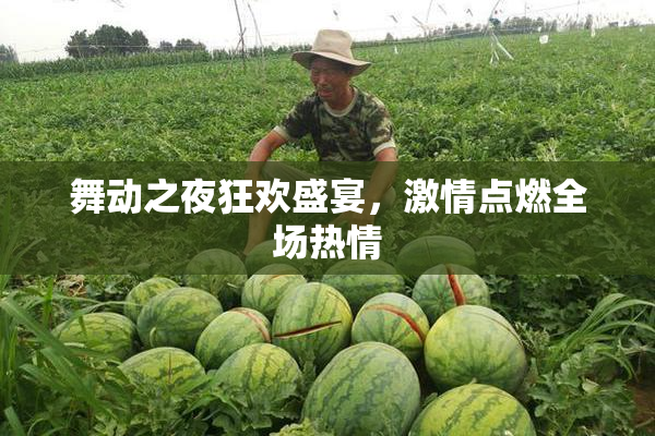舞动之夜狂欢盛宴，激情点燃全场热情