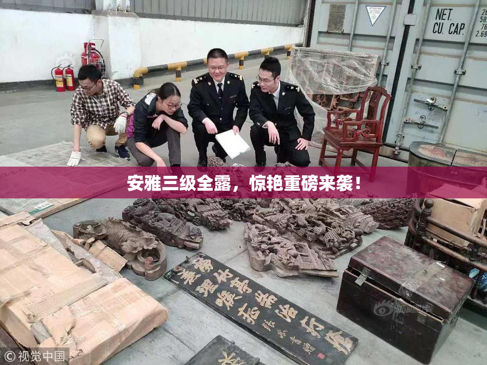 安雅三级全露，惊艳重磅来袭！