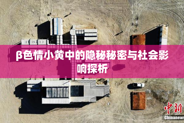 β色情小黄中的隐秘秘密与社会影响探析