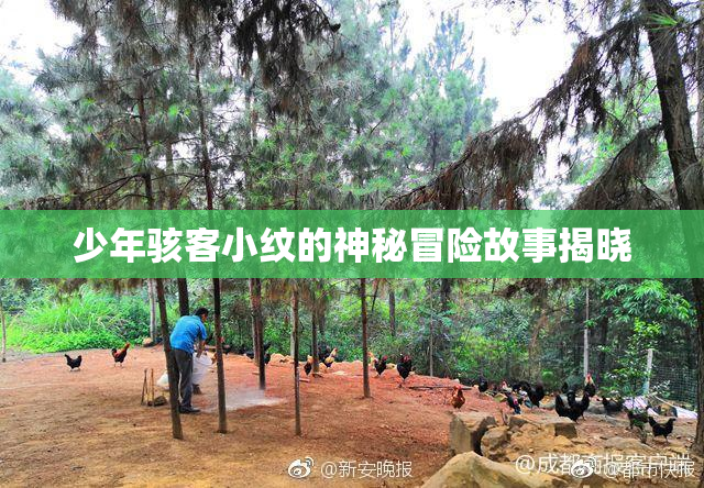 少年骇客小纹的神秘冒险故事揭晓
