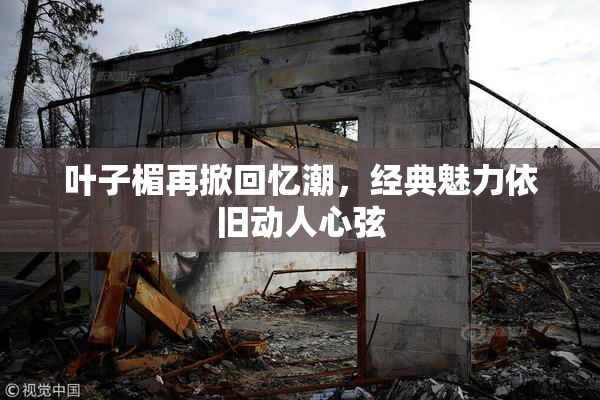 叶子楣再掀回忆潮，经典魅力依旧动人心弦