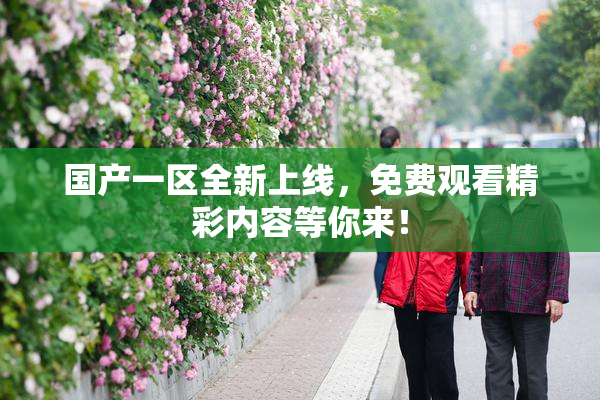 国产一区全新上线，免费观看精彩内容等你来！