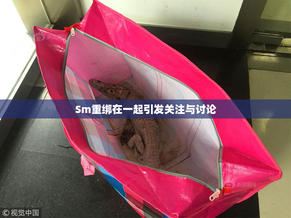 Sm重绑在一起引发关注与讨论