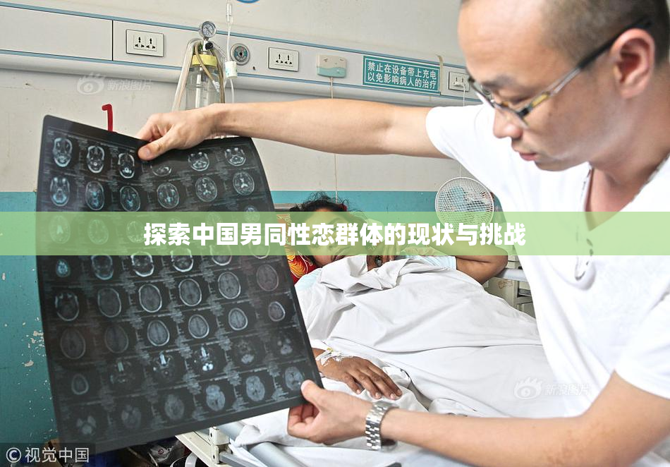 探索中国男同性恋群体的现状与挑战