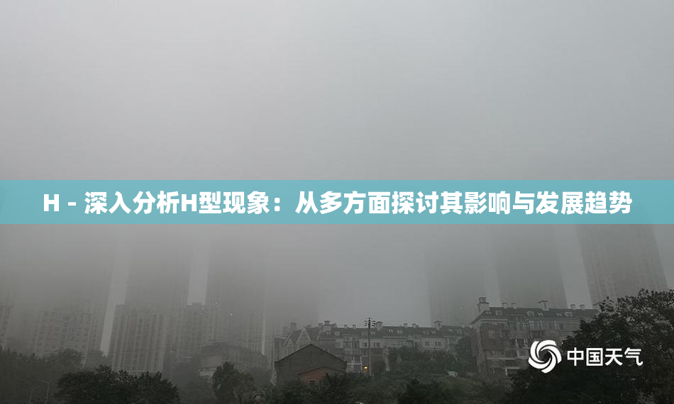 H - 深入分析H型现象：从多方面探讨其影响与发展趋势