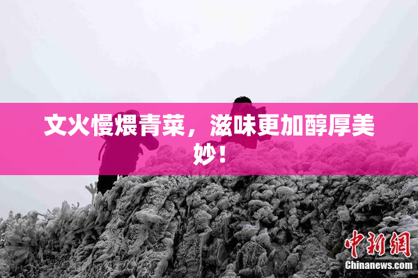 文火慢煨青菜，滋味更加醇厚美妙！